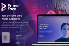 Web Solution - Primaface